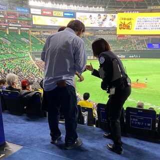 2022プロ野球運営スタッフ大募集！10～60代ＳＴＡＦＦ活躍中☆未経験OK！の画像