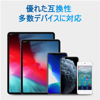 【新品未開封】iPhone iPad イヤホン変換ケーブル 同時充電の画像