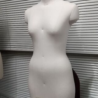 ボディー