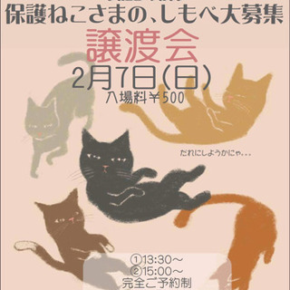 ●注文の多い譲渡会● ※予約制