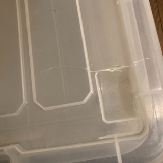 キャスター付き　コンテナケース　衣装入れの画像