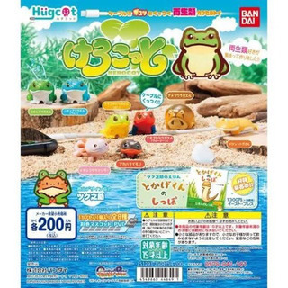 【未開封コンプ】けろこっと 