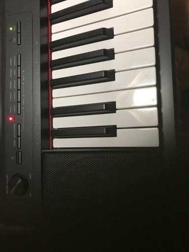 ピアジェーロnp12