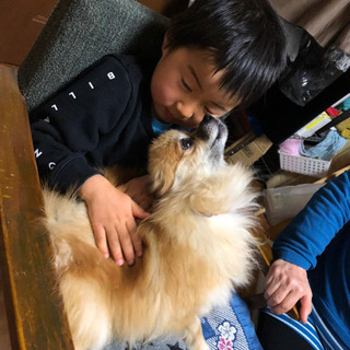わんちゃん好きな人
