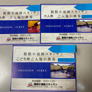 【値下げ中】箱根小涌園ユネッサン　パスポート　引換券　大人２枚・...