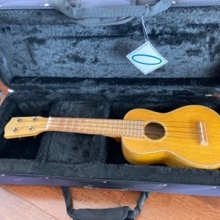 ウクレレ用セミハードケース♪の画像