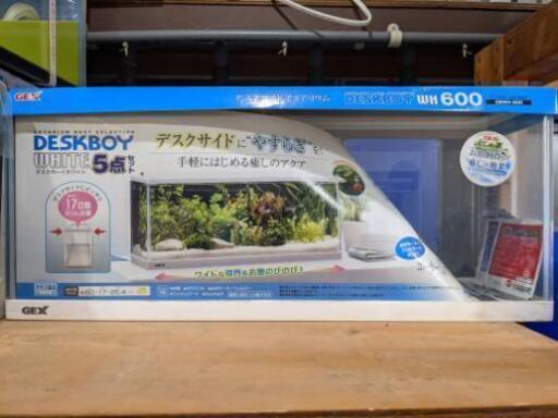 新品水槽