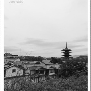 1/23(土)東山散歩🥾⛩👘