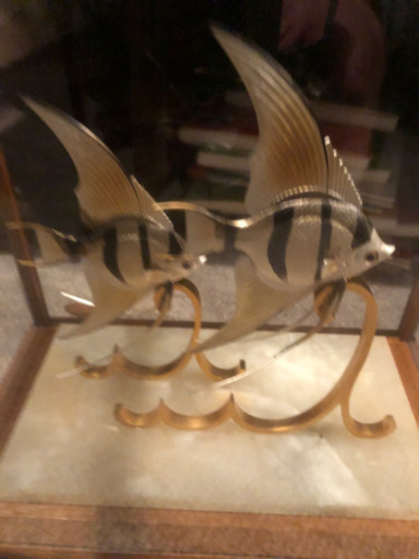 TAKEHIKO 作　エンジェルフィッシュ