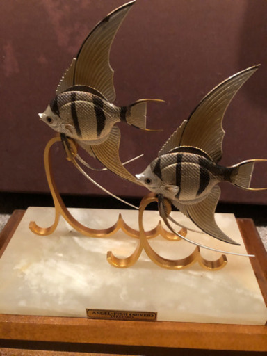 TAKEHIKO 作　エンジェルフィッシュ