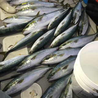 釣りとボートの知識を高めたい方、仲良くなりましょう。 - メンバー募集