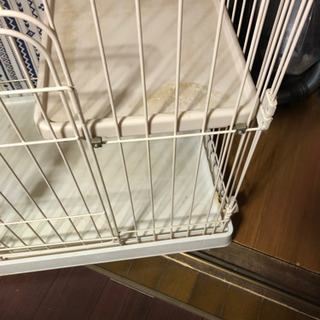 猫用ゲージ現在お話中です。の画像