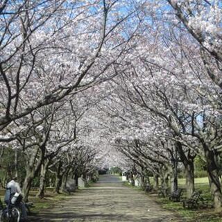 葛西臨海公園グリーンエクササイズ - 江戸川区