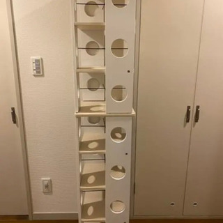 回転式の本棚