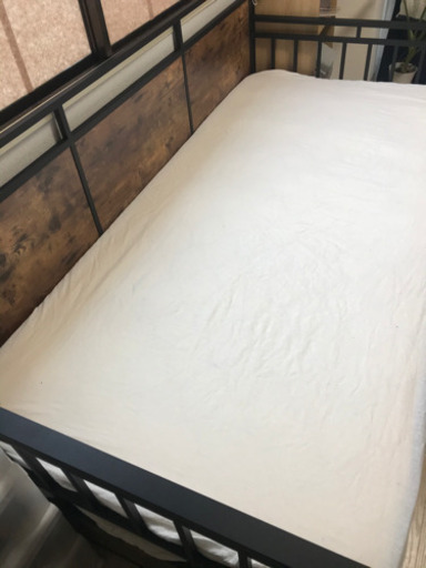 冷蔵庫(149L)とベッド(シングル)いかがですか