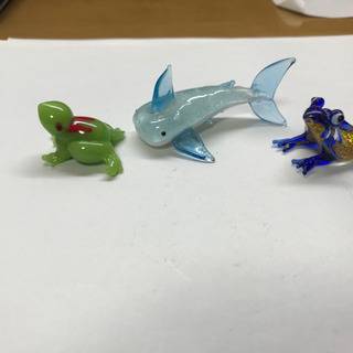 ジンベイザメ　その他