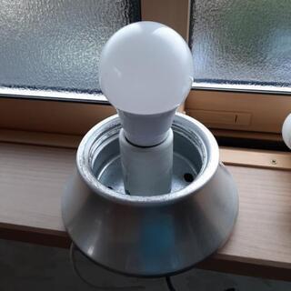 中古品 電球の画像