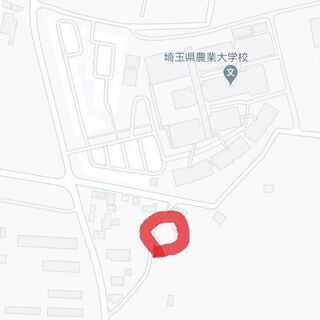 埼玉県熊谷市の山林売却、25万円+登記費用約5万円（買主負担）の画像