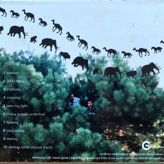 magic radios / morgan caney&kamal jooryの画像