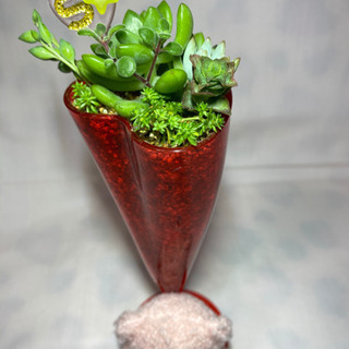 多肉植物寄せ植え  バレンタイン(クマ)の画像