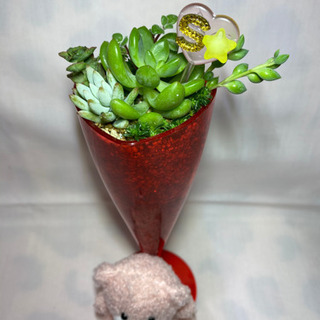 多肉植物寄せ植え  バレンタイン(クマ)の画像