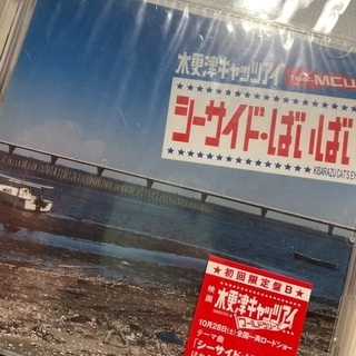 値下🉑ファン必見❣木更津キャッツアイ　初回限定盤B