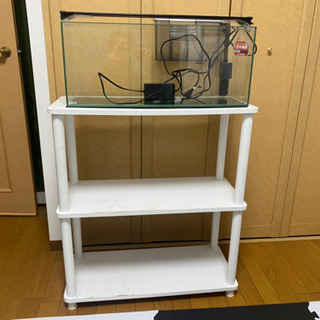 60cm 水槽　台付き