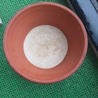 睡蓮鉢？③