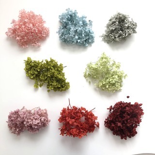 残20本！【オンライン】好きなお花を選んでハーバリウムを作ろう！の画像