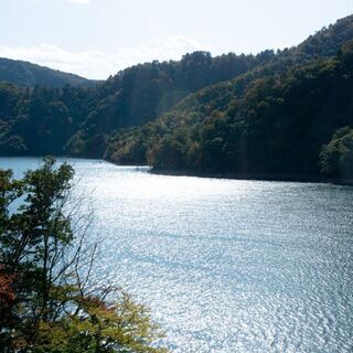 あなたを電話で癒します。