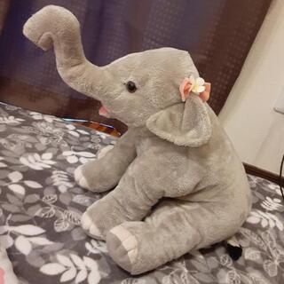 ぞうさんぬいぐるみの画像