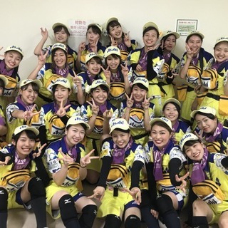 阪神甲子園球場でチューハイなどを販売する売り子さん募集!!!の画像