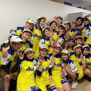 阪神甲子園球場でチューハイなどを販売する売り子さん募集!!!の画像