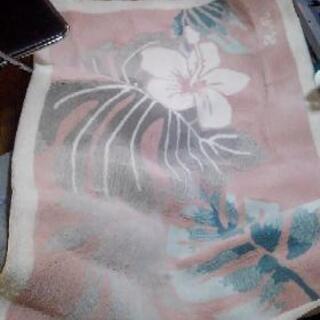 HANAE MORI　カーペット