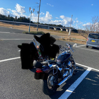 ドラックスター400 4TRの画像