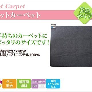 買ったばかりの３畳タイプホットカーペットの画像