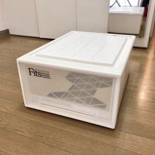 天馬 衣装ケース フィッツケース クローゼット用 M-53  ホ...