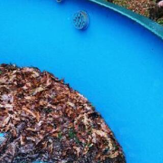 【取引者決定しました】巨大生け簀？(直径２メーター30ｾﾝﾁ。高さ１メーター)の画像