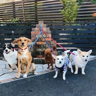 犬バカ部@愛知 - 刈谷市