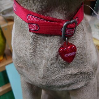 【店舗同時販売中】サンディキャストＵＳＡ　ラブラドール　子犬 置物【問合わせ番号：112-042659-002】柏市周辺（柏、松戸、流山、我孫子）出張買取 引越し 処分 不要 生前整理 遺品整理 ご相談下さい！の画像