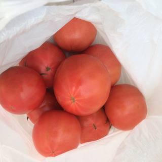 直接取引限定！朝取りトマト（佐賀市川副町より）1キロ　の画像
