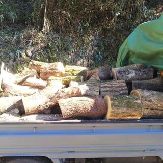 原木 丸太 玉切り 薪 薪ストーブ 焚き火　神奈川　東京の画像