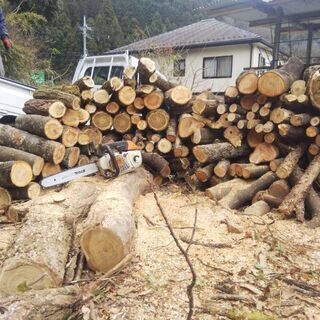 原木 丸太 玉切り 薪 薪ストーブ 焚き火　神奈川　東京の画像