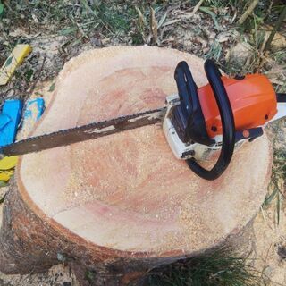 原木 丸太 玉切り 薪 薪ストーブ 焚き火　神奈川　東京の画像