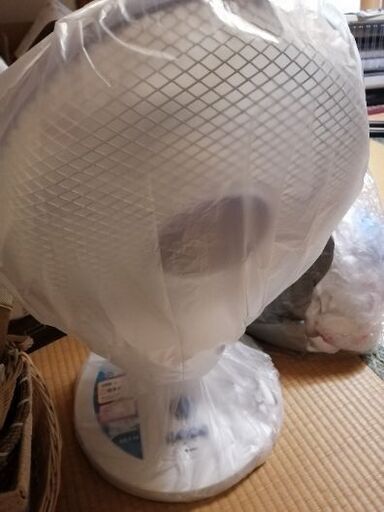 【美品】扇風機