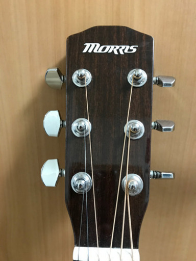 Morris(モーリス)　左利き　アコースティックギター