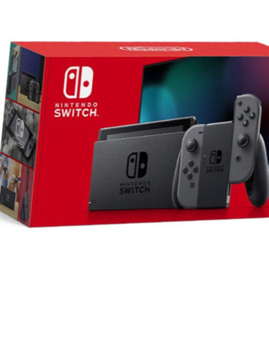 Switch スイッチ　本体のみ　グレー
