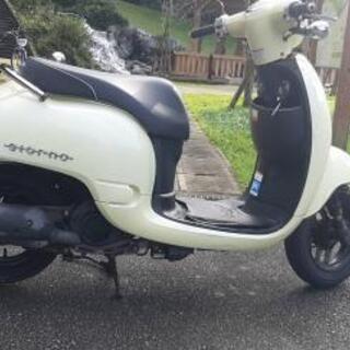 ジョルノ  ホンダ 50cc 4st