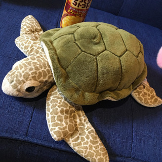 カメのぬいぐるみ 2匹の画像