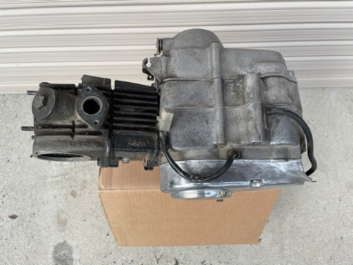 モンキー、ゴリラ、ダックス、シャリー